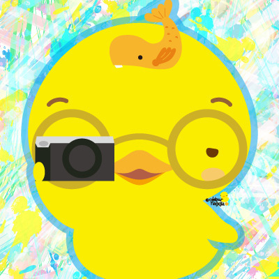 User Icon