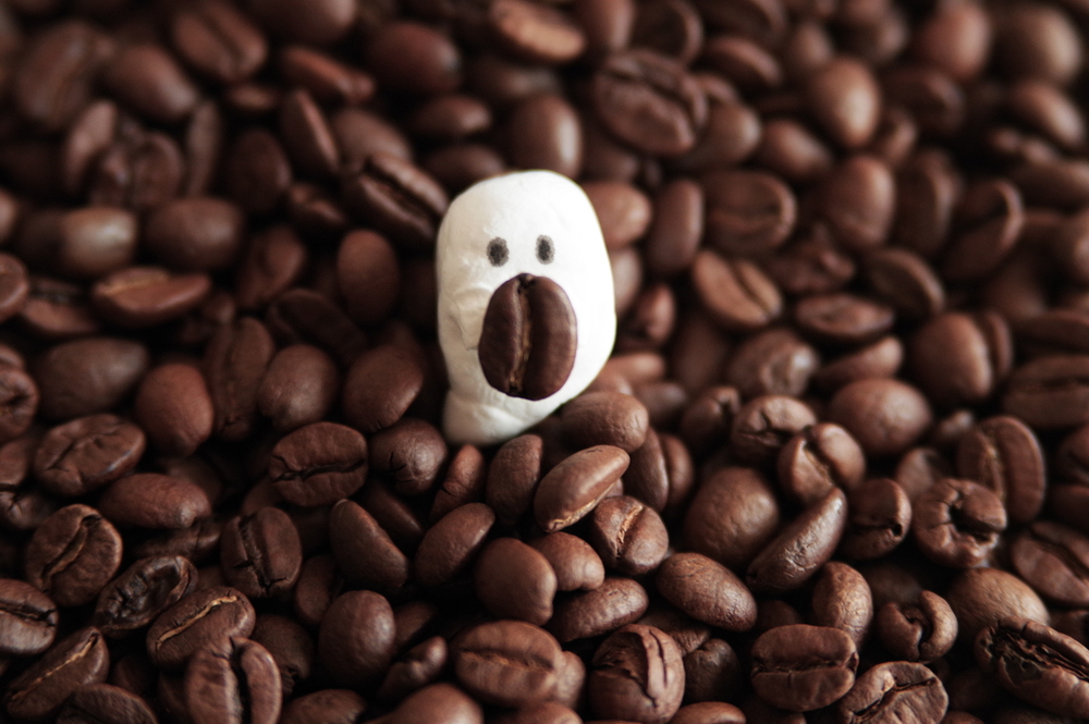 Coffee39(個展記録）