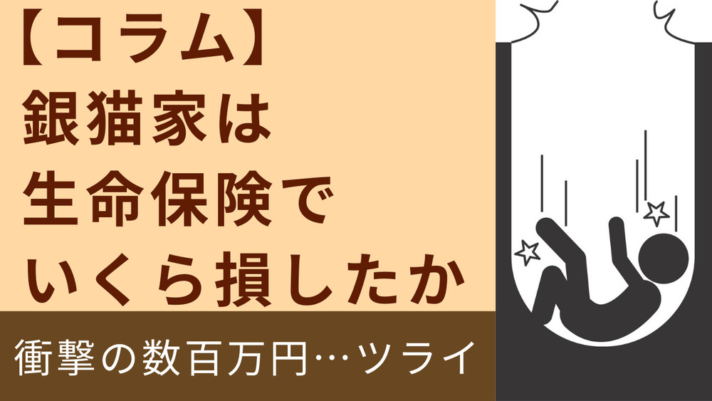 ブログを更新しました