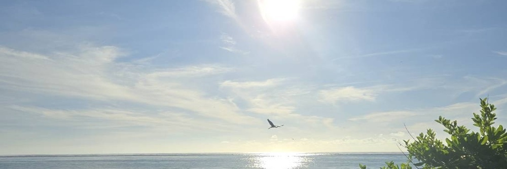 う〜今日書きたいの気づきだらけ！