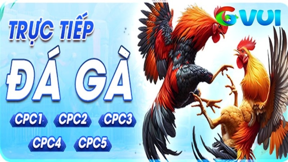 Đá Gà GVUI - Sân Chơi Đá Gà Trực Tuyến Được Yêu Thích Nhất Hiện Nay