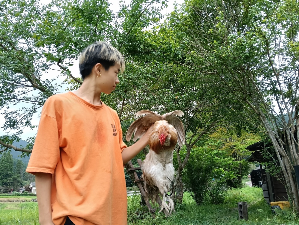 鶏をさばくことは悪いこと？