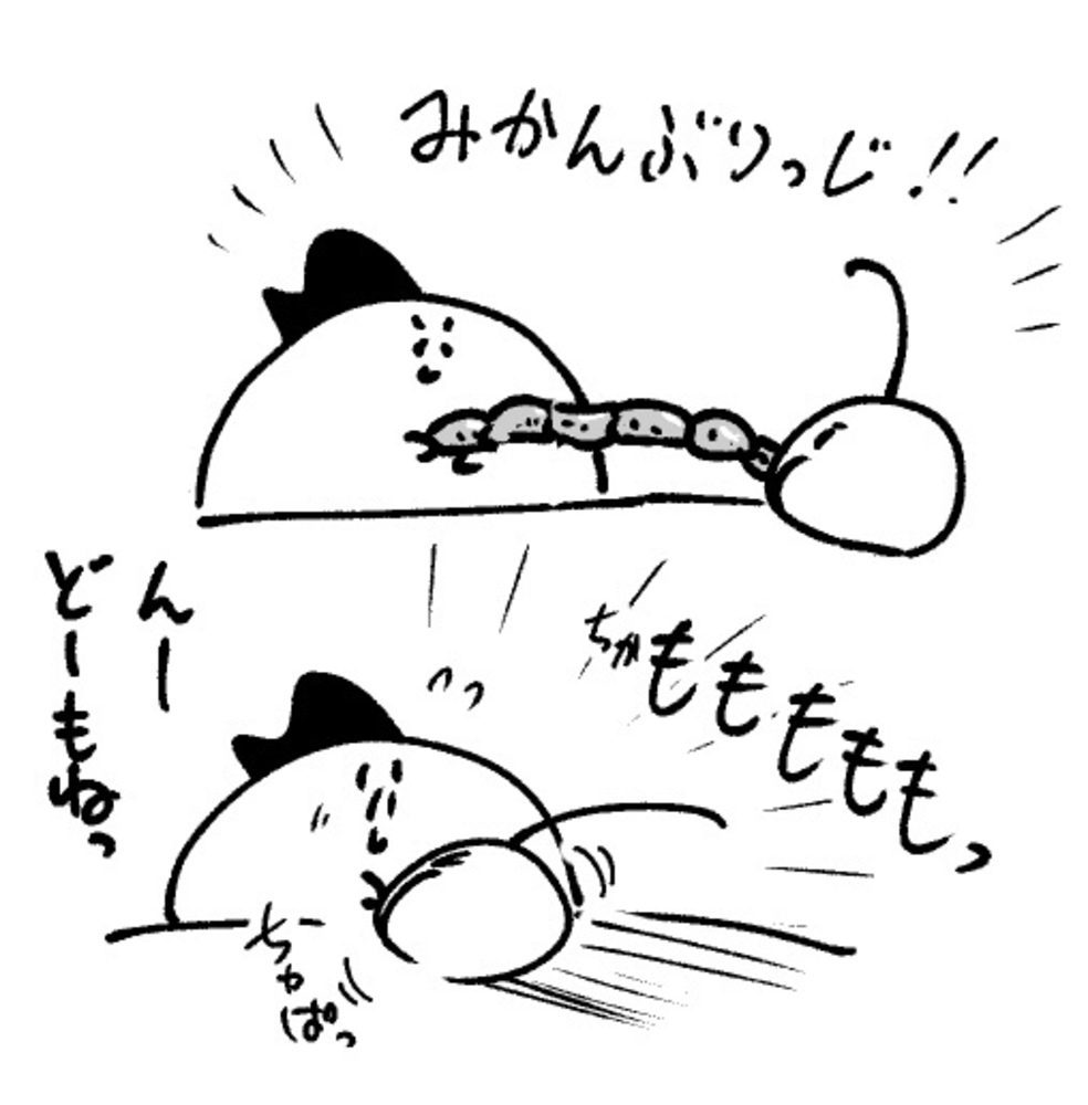 2025年7月17日 まちゅがき