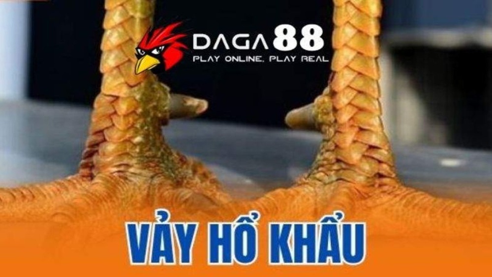 Vảy Hổ Khẩu - Tìm Hiểu Cách Nhận Biết Và Đánh Giá Từ Các Sư Kê Giàu Kinh Nghiệm