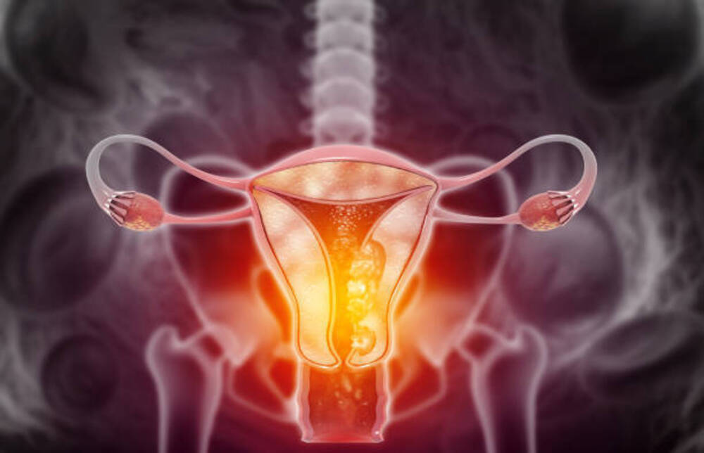 日本婦人科良性腫瘍市場は2033年までに49億1,300万米ドルに拡大、診断・手術ツールのCAGRは10.1%に上昇する見込み