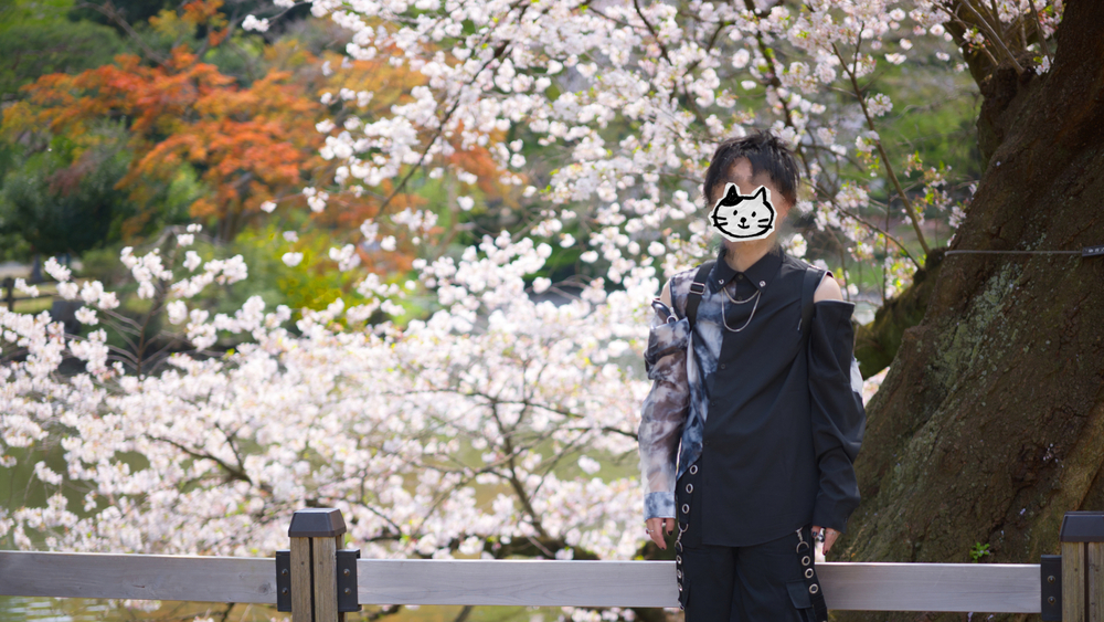 ご加入ありがとうございます！！！