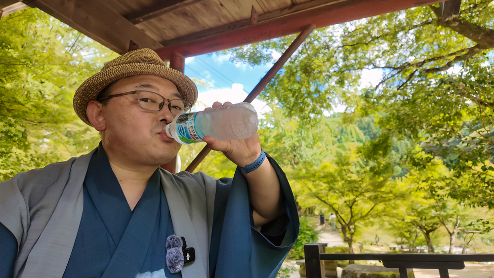 これぞ「夏旅」‼️