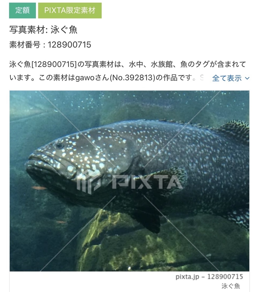 【PIXTA】写真素材追加分