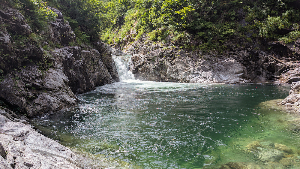 朝日連峰 八久和川源流釣行　～原始の森の奥深くに広がる岩魚たちの楽園を訪ねて～