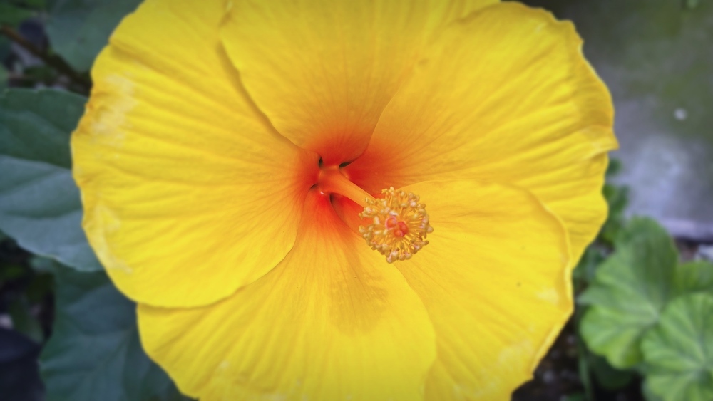 【近況】7月の活動報告