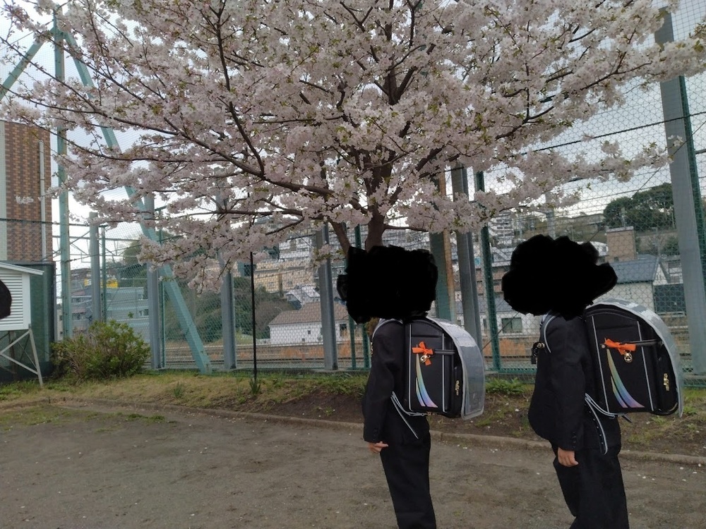 蒐集談⑥