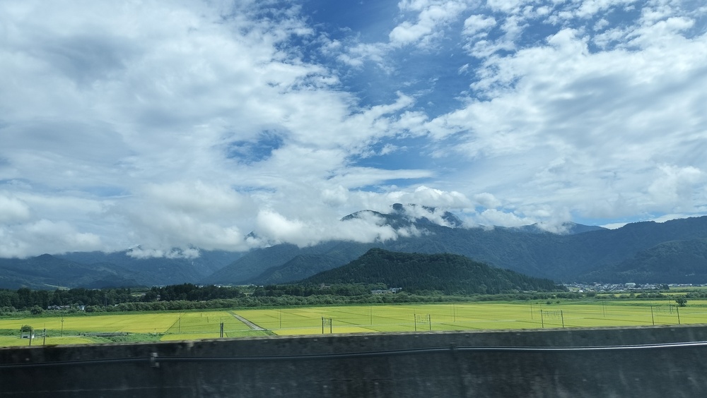 早いもので3年。