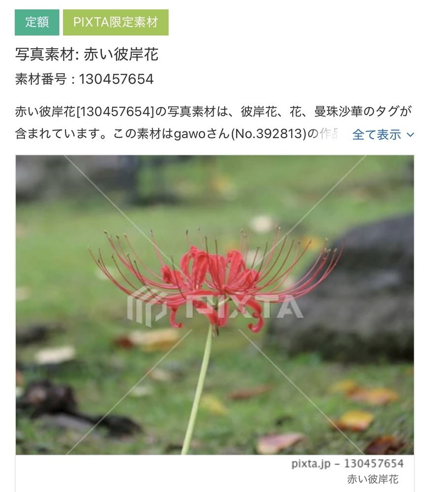 【PIXTA】写真素材追加分