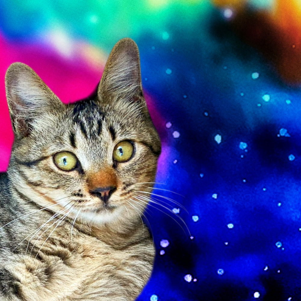 【近況】8月の活動