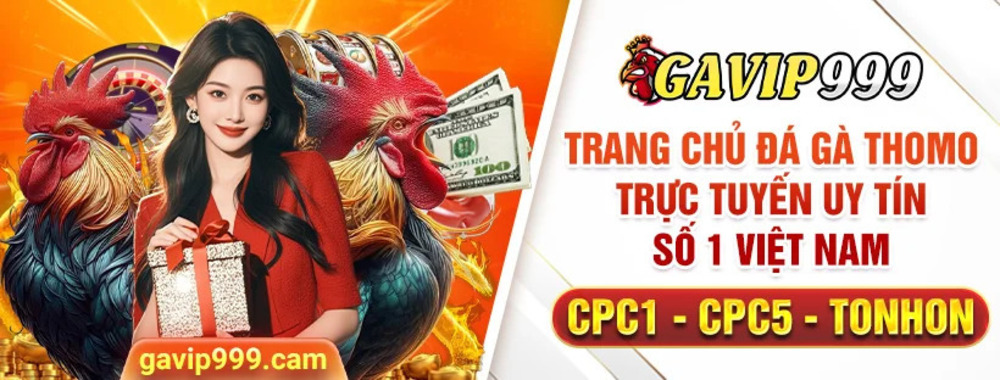 Trải nghiệm đá gà sống động và cá cược hấp dẫn chỉ có tại Gavip999