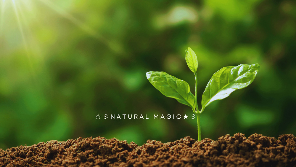 その悲しみ、本当にあなたのもの？🌿 すぐできる呼吸のワーク