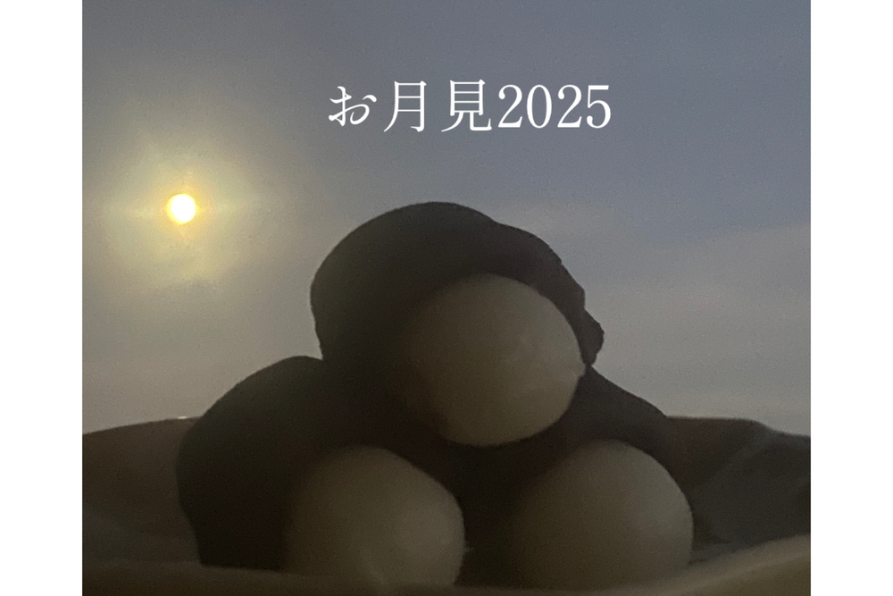 今日はお月見だよ〜