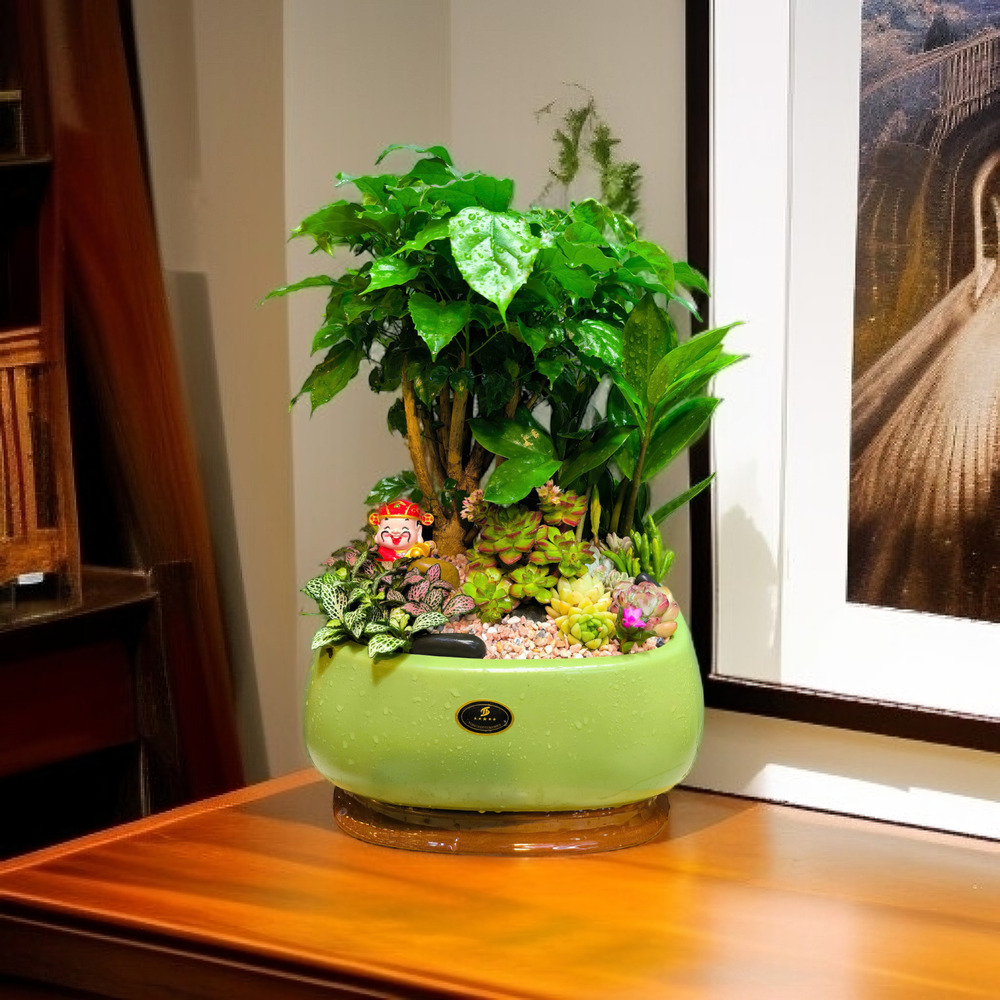 Trồng Cây Là Gieo Hạnh Phúc Mỗi Ngày: Triết Lý Sống Xanh Bền Vững Với Cây Hạnh Phúc