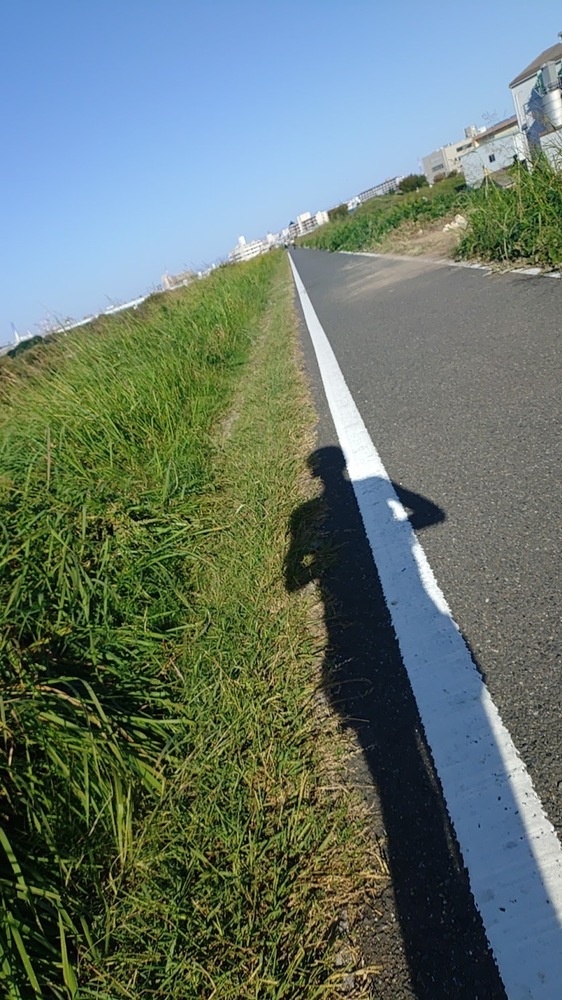 レースに出ることとただ走ること