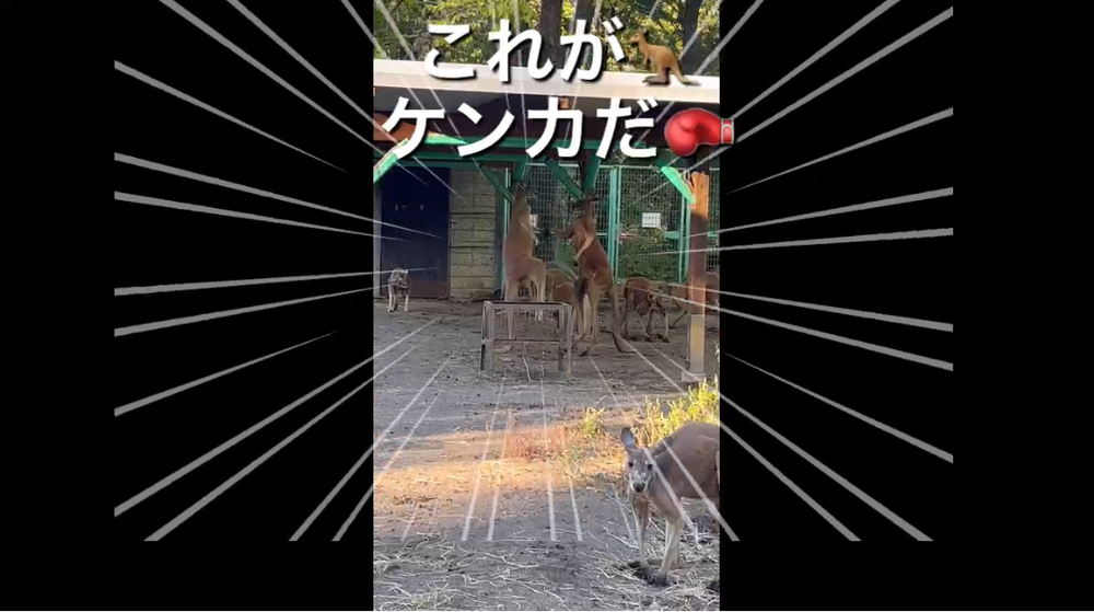 のぞ旅🗾おでかけ動画