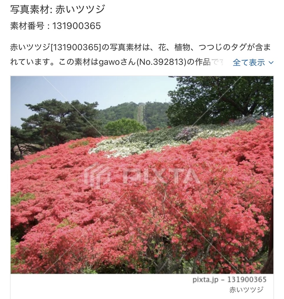 【PIXTA】写真素材追加分