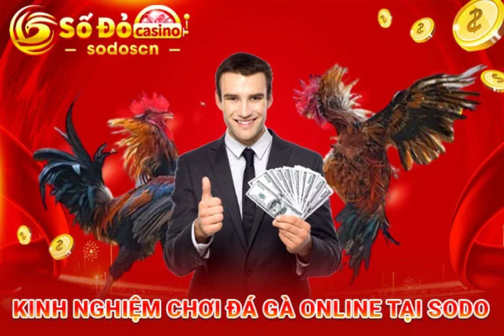 Đá gà online lợi ích và tiện ích cho người chơi