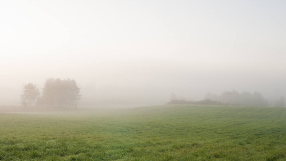 10月31日ラジオ配信「霧の眠り」