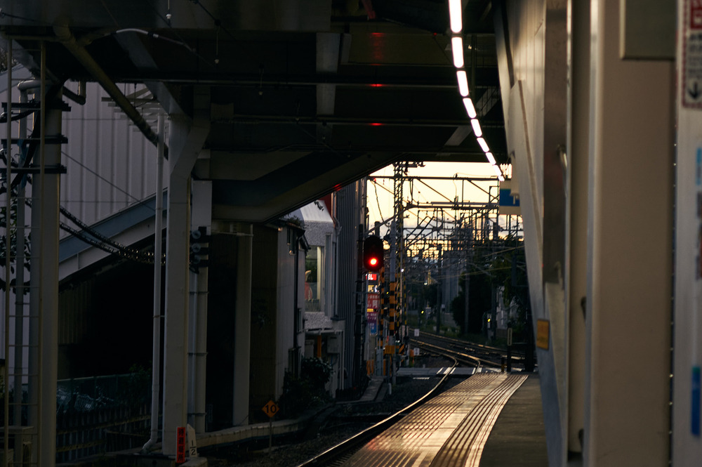 2025.11.03 お散歩