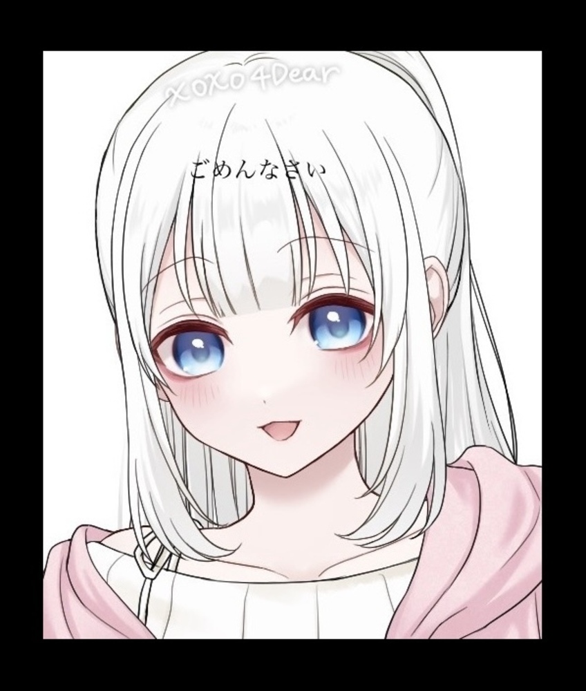 ｺﾞﾒﾝﾅｻｲ