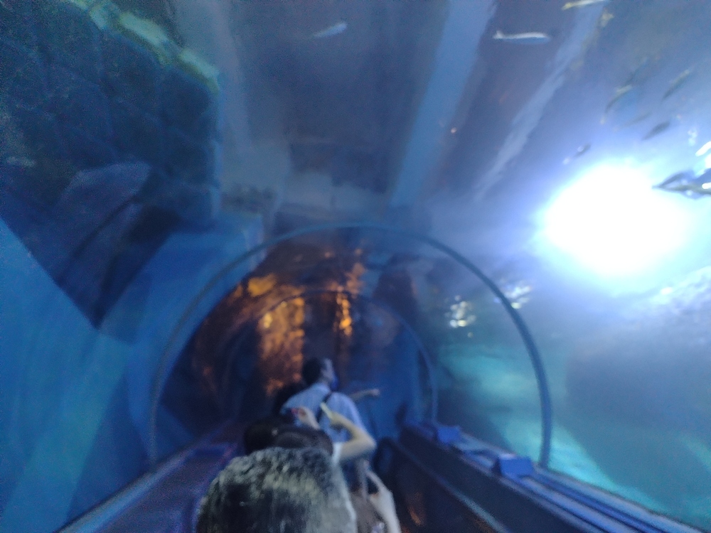 人生は敗者復活戦だ