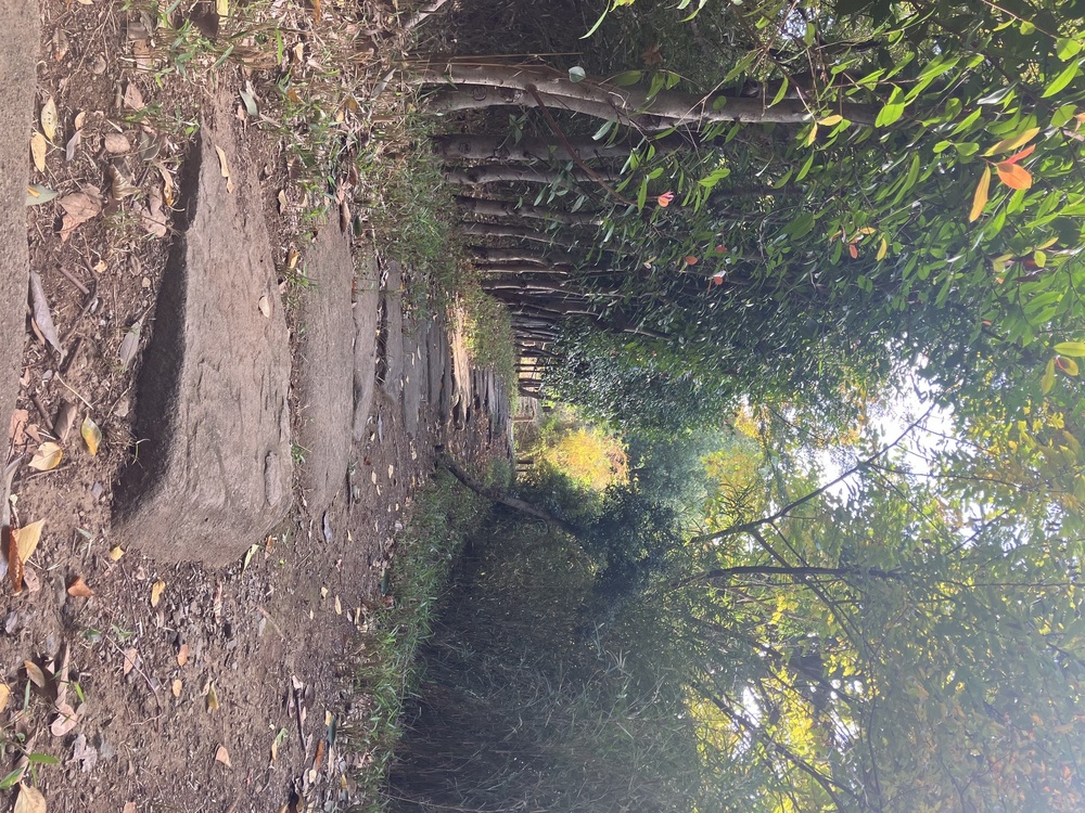 長いトンネル【Baちゅーる】