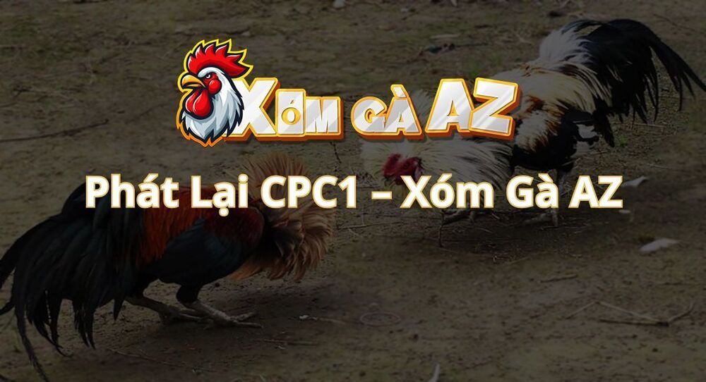 Phát Lại CPC1 – Xem Lại Các Trận Đá Gà Tại Bồ Gà CPC1