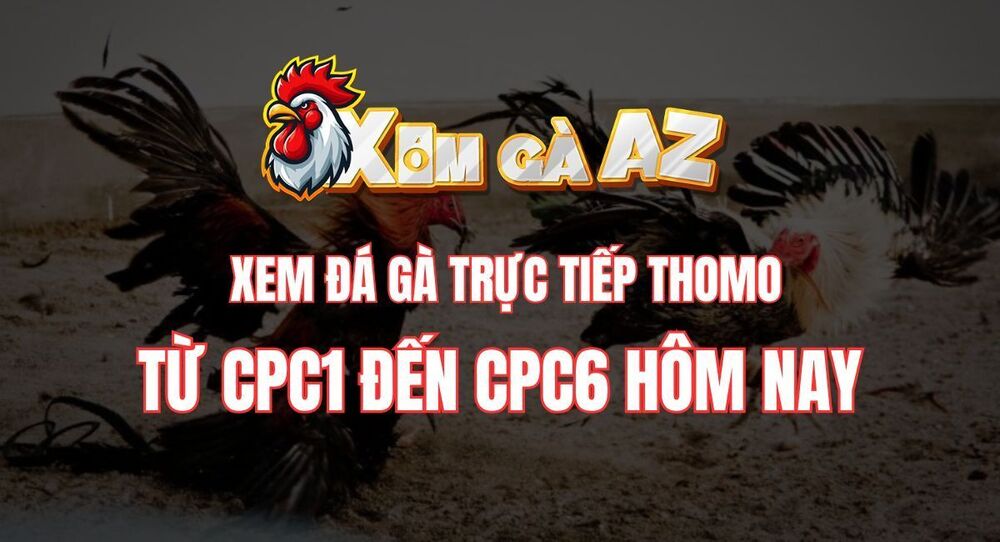 XÓM GÀ AZ ⭐️ XEM ĐÁ GÀ TRỰC TIẾP THOMO TỪ CPC1 ĐẾN CPC6 HÔM NAY