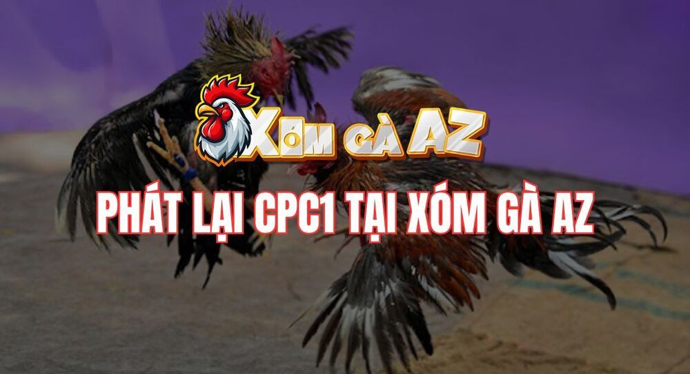 Phát Lại CPC1 – Xem Lại Các Trận Đá Gà Tại Bồ Gà CPC1