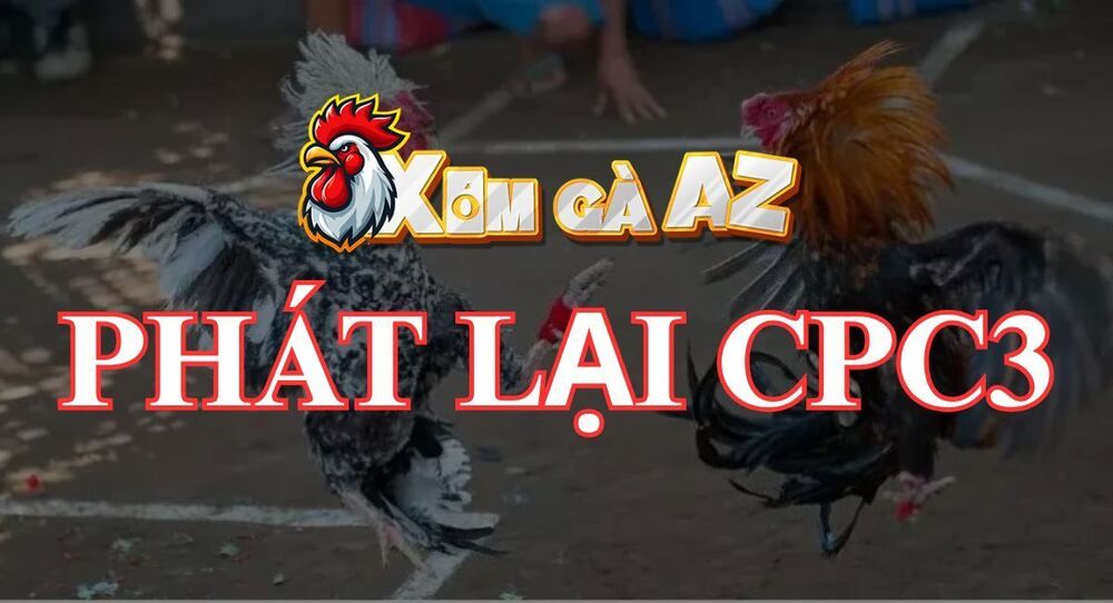 Phát Lại CPC3 – Tổng Hợp Video Đá Gà Tại Bồ CPC3