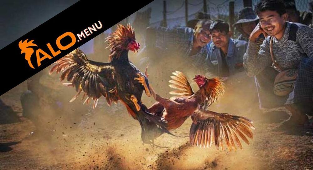 Cá Cược Đá Gà Cựa Dao Tại ALO789 