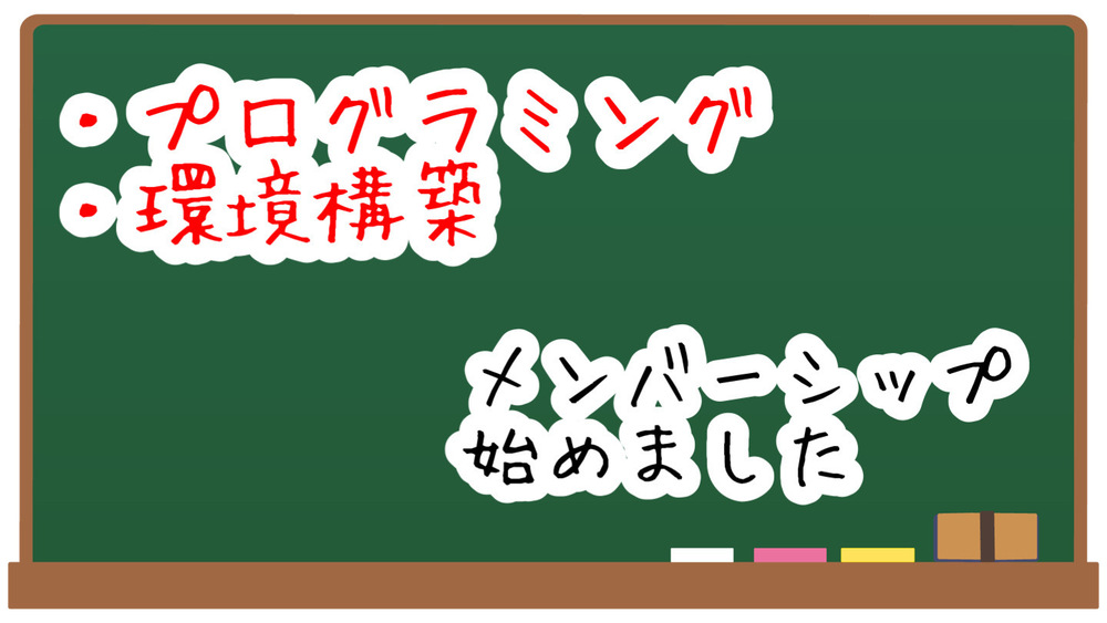 プログラミングのラーニングを行ってます