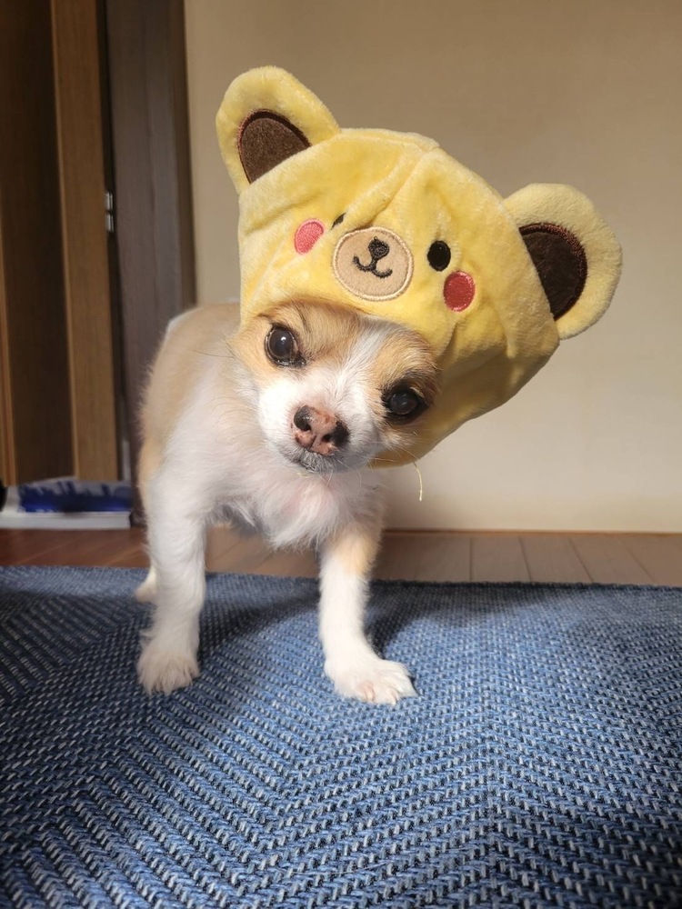 お久しぶりの！！【ハウルのスーパーフライデー】