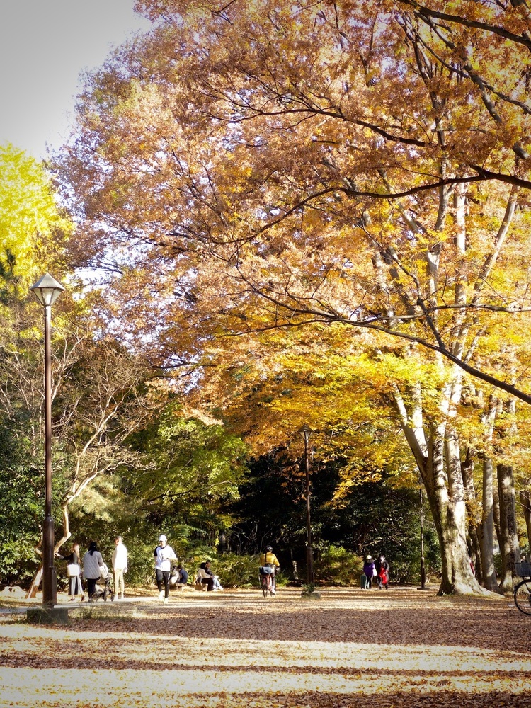 HOT LINEアーカイブ映像