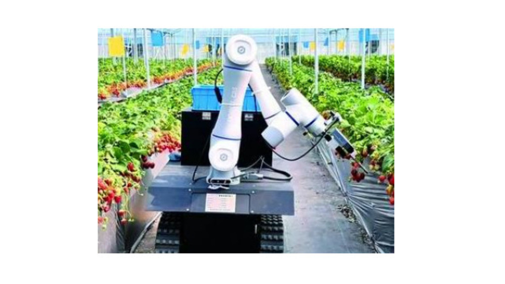 世界の農業用ピッキングロボット市場規模2026-2032：競合状況、需要分析、成長予測