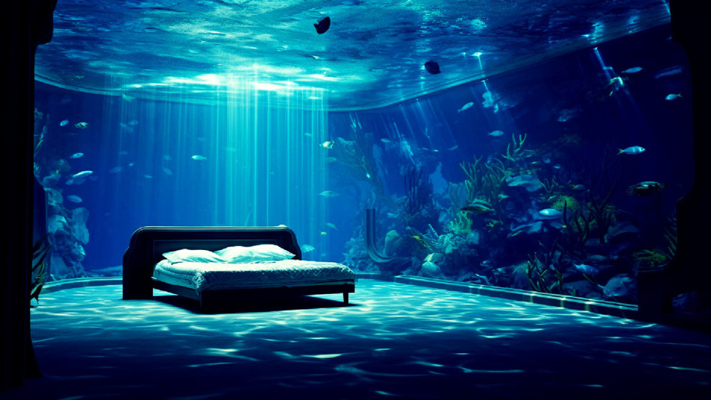 おいぬ便り #2 新しいプランとお話