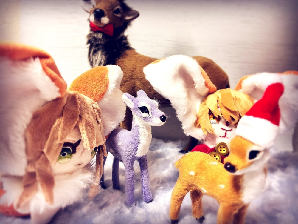 【近況】11月の更新