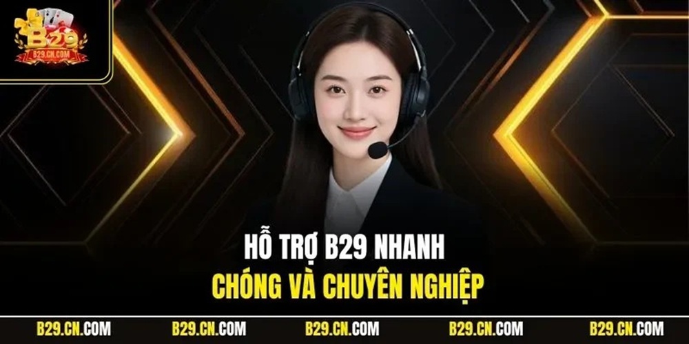 Những lưu ý quan trọng khi liên hệ B29 để đạt hiệu quả tối ưu