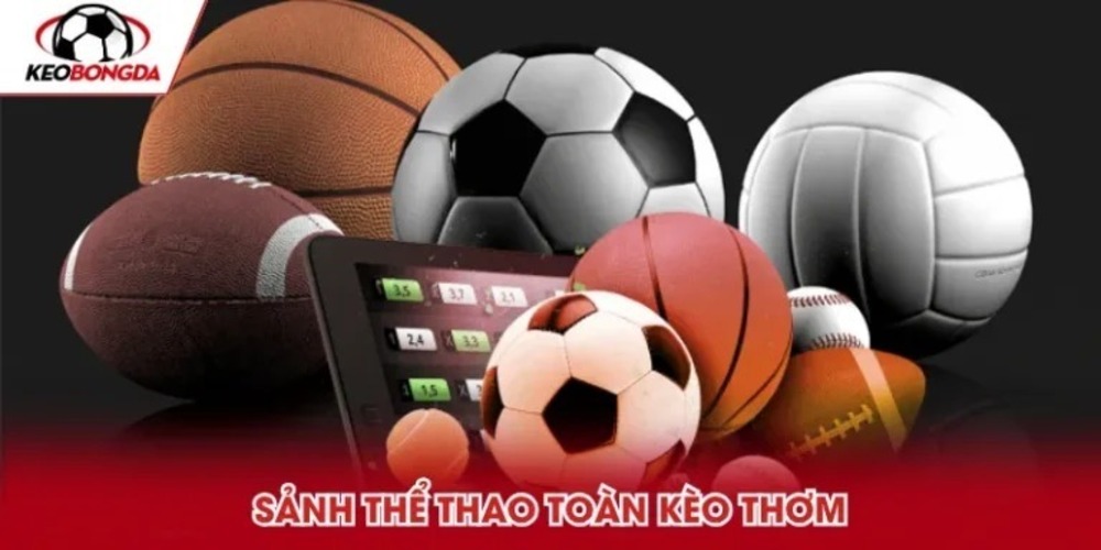 Rik88 lựa chọn hàng đầu của người yêu thích cá cược trực tuyến