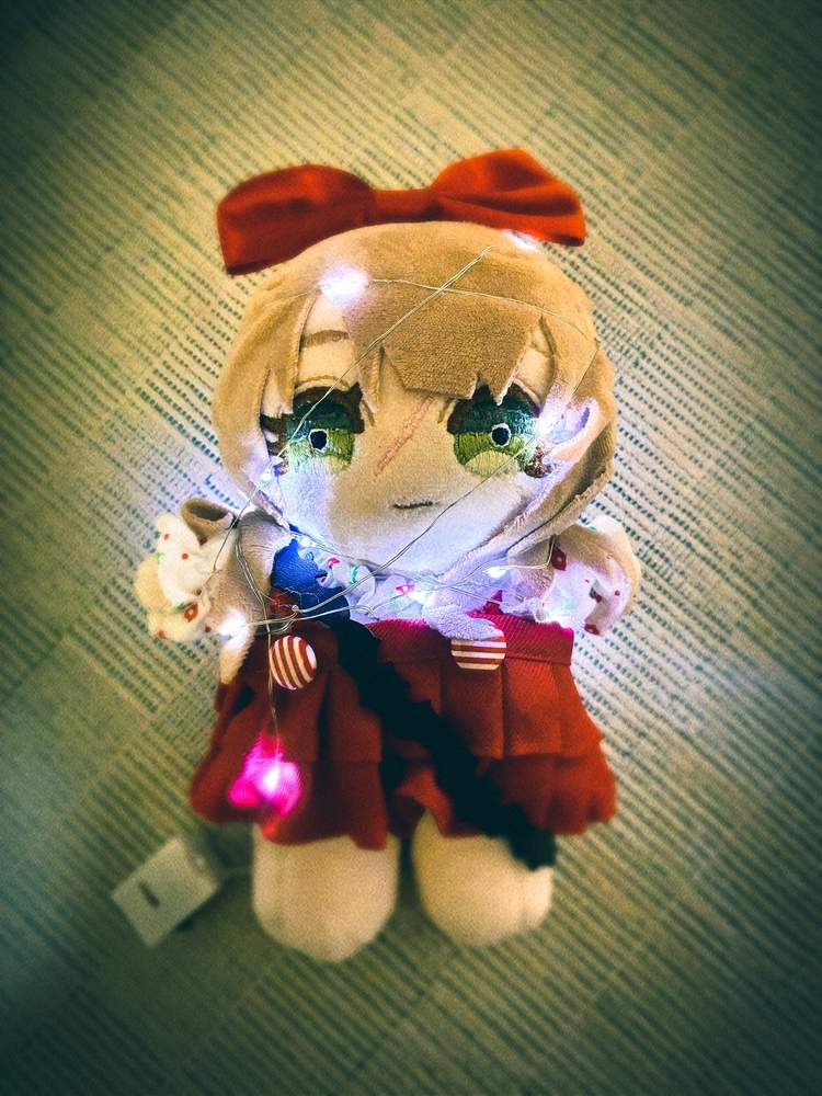 【購入品】ご支援で購入したもの。