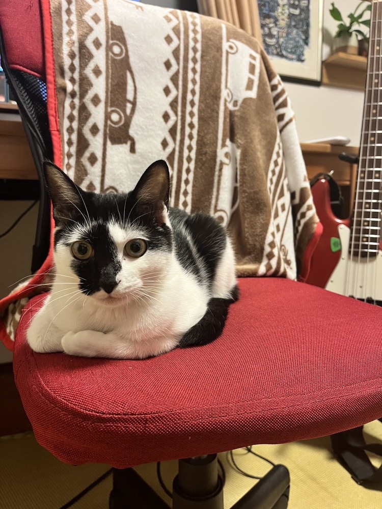 未確認の輪Z | OFUSE (オフセ)