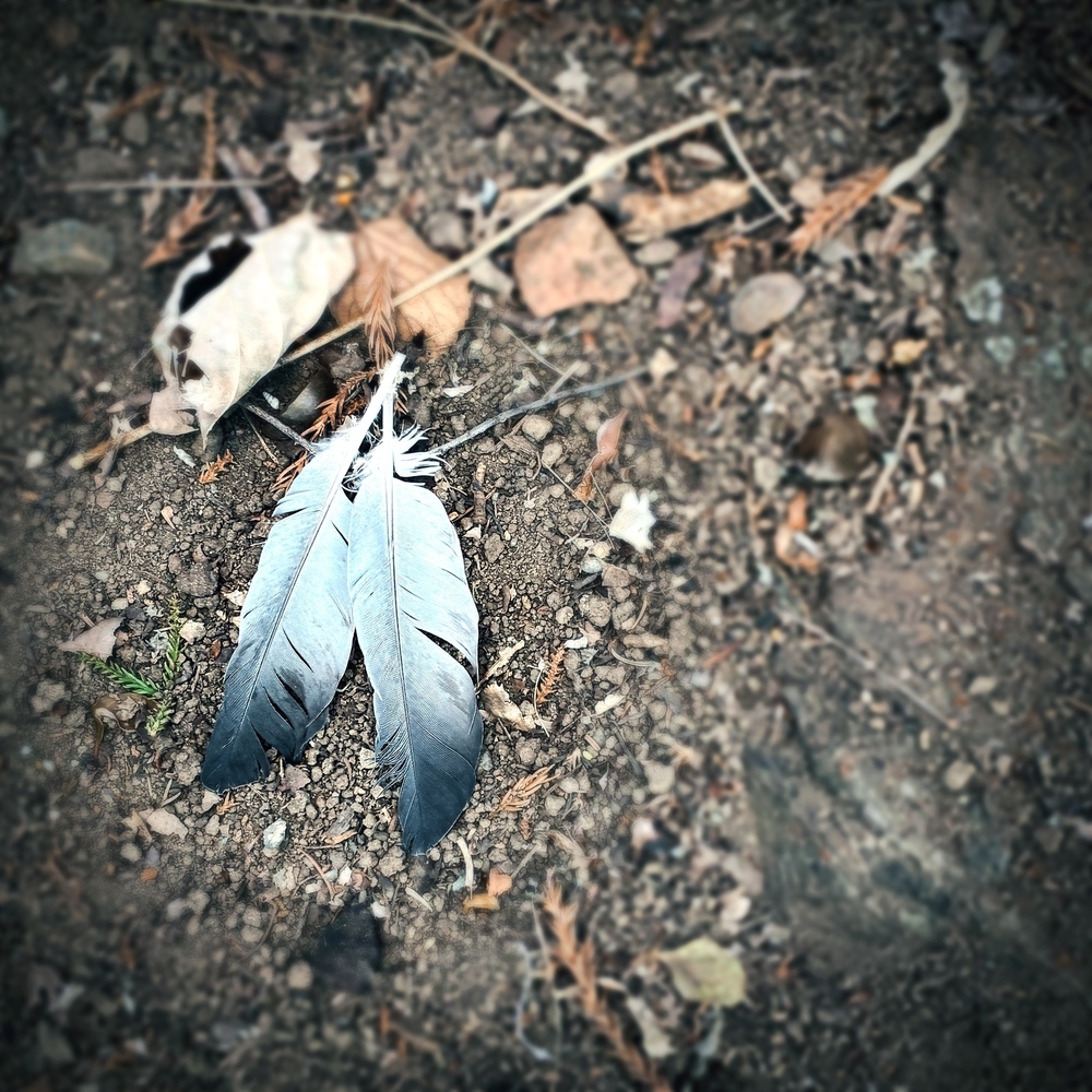 ヘテ恋【夏デイ】ロケハンしてきた。