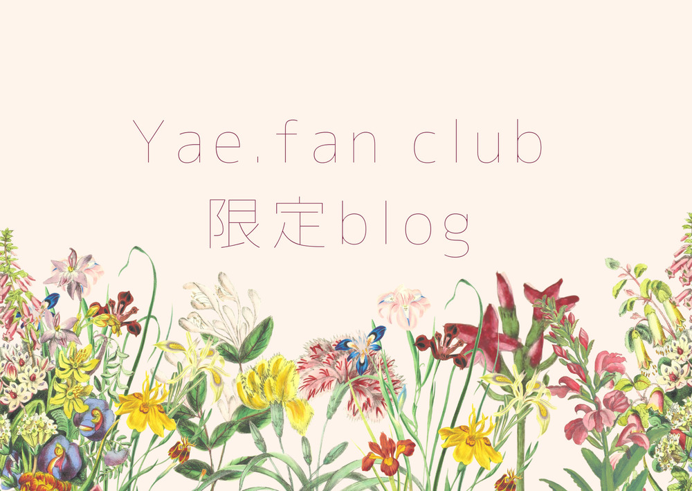 【Yae.FAMILYの皆へ｜ここだけの話】