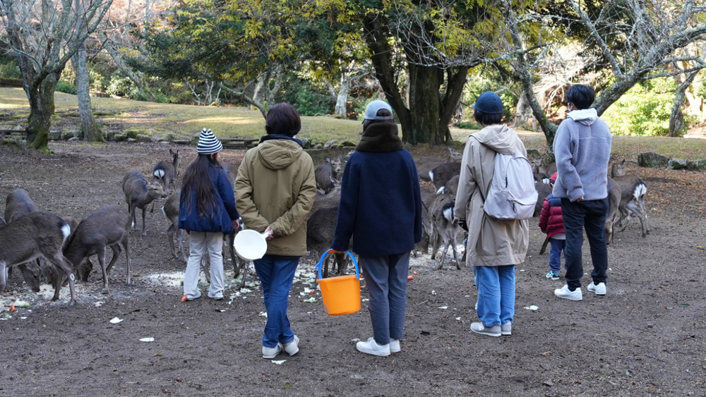 いつくしかサポーターさんへ