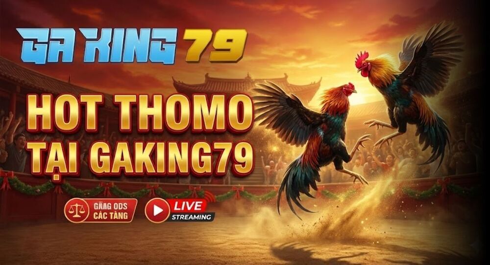 Hot Thomo - Tổng Hợp Các Trận Gà Hay Nhất Thomo Tại GAKING79